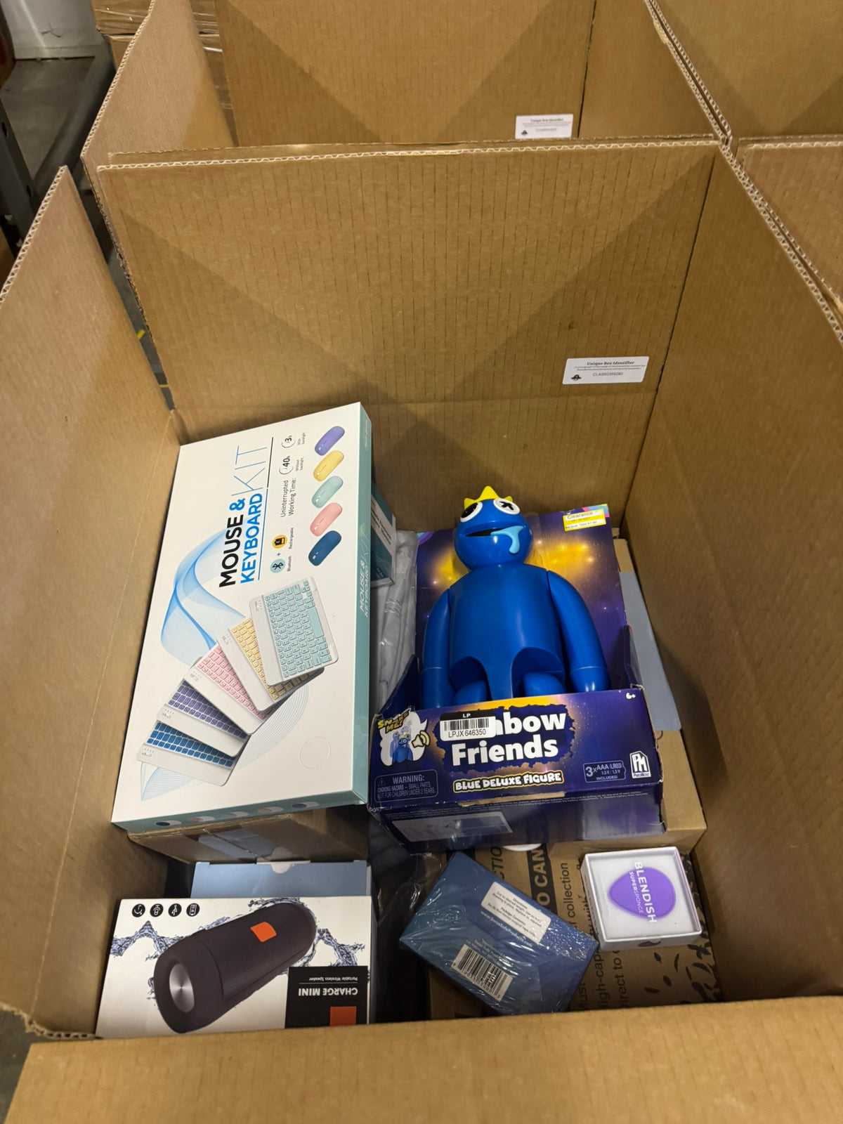 The Classic Liquidation Mystery Box - Blue Tape PS5 Chance Box Porch Pirates