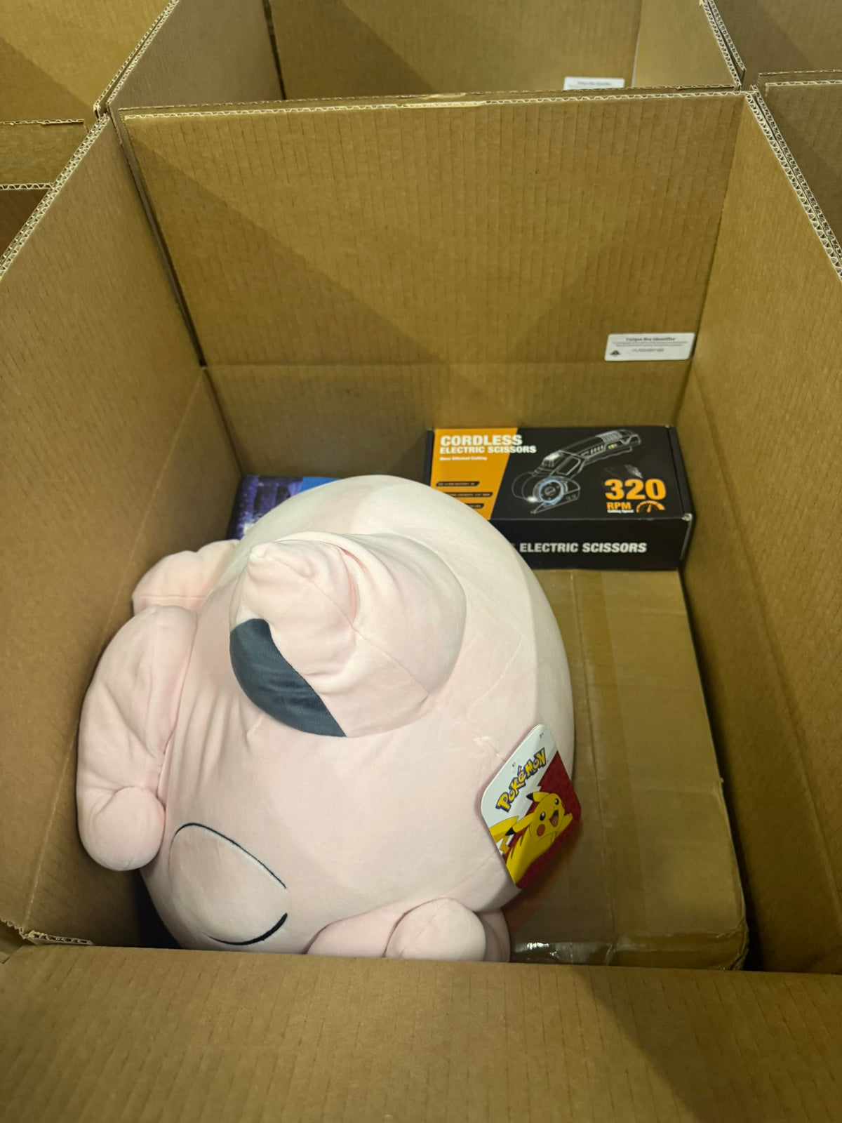 The Classic Liquidation Mystery Box - Blue Tape PS5 Chance Box Porch Pirates