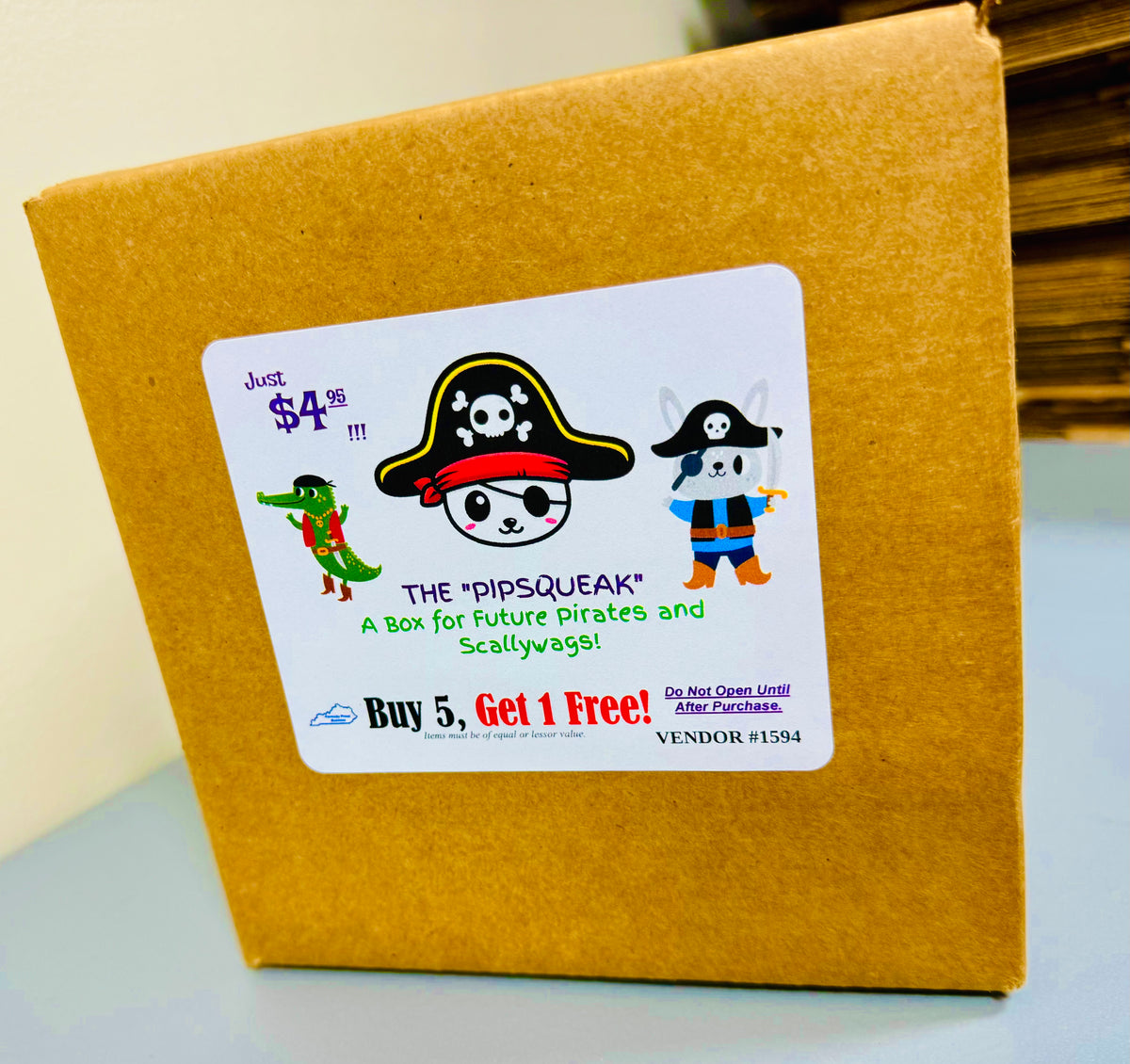 The Pipsqueak Mystery Box (4-Pack Kid's Party Bundle) Porch Pirates